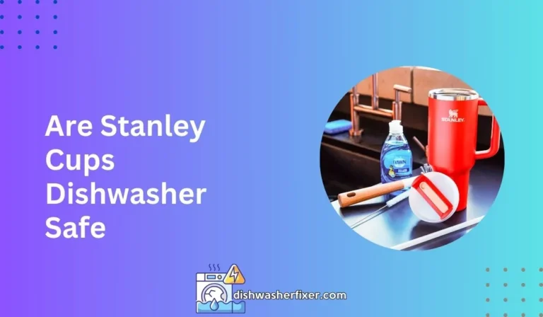 Are Stanley Cups Dishwasher Safe
