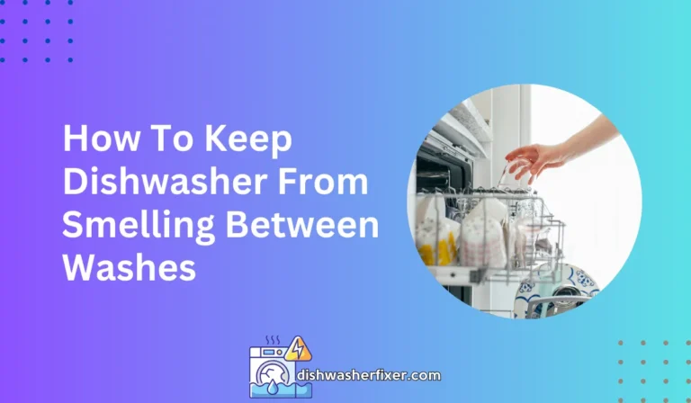 How To Keep Dishwasher From Smelling Between Washes