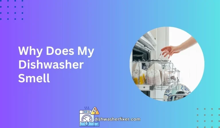 Why Does My Dishwasher Smell