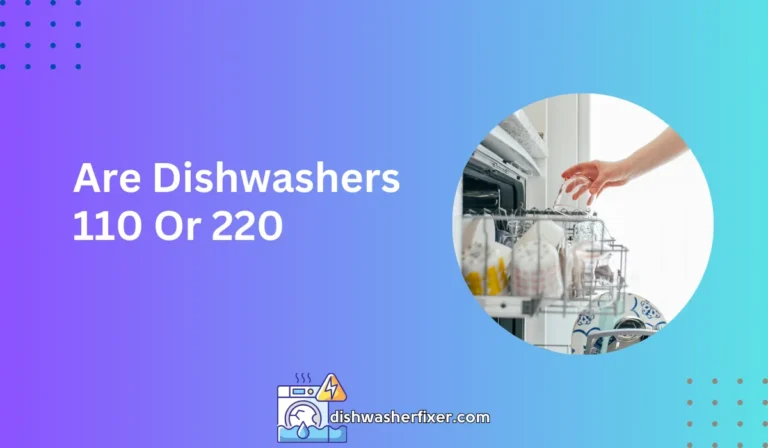 are dishwashers 110 or 220