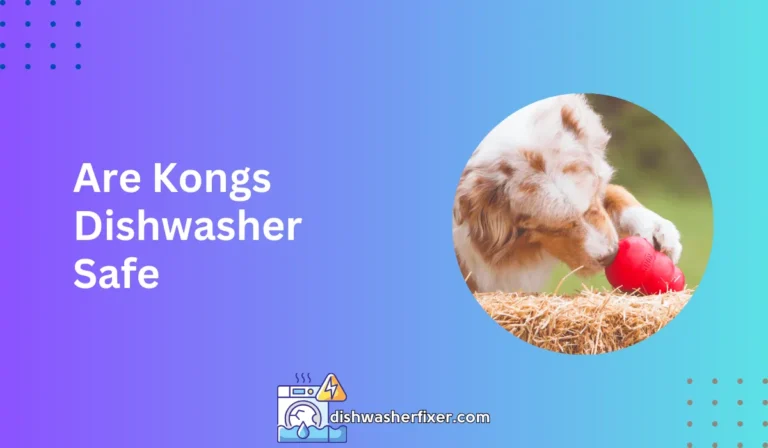 are kongs dishwasher safe