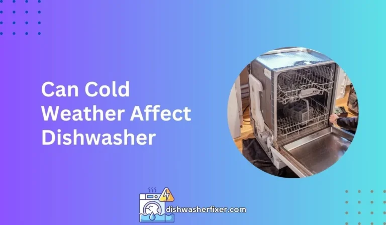 Can Cold Weather Affect Dishwasher? Risks & Prevention Tips