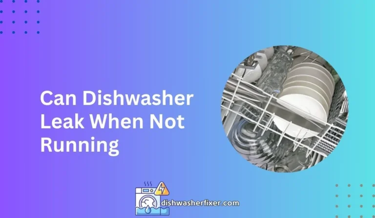 can dishwasher leak when not running