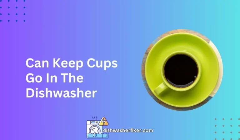 can keep cups go in the dishwasher