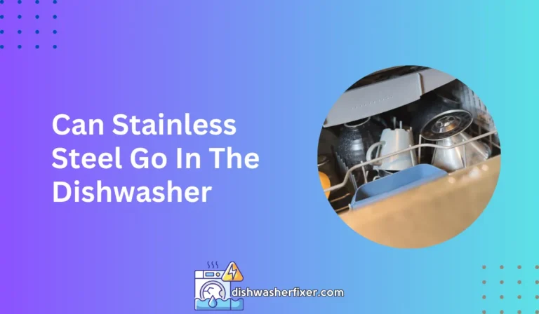 can stainless steel go in the dishwasher
