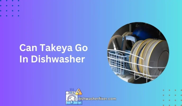 can takeya go in dishwasher