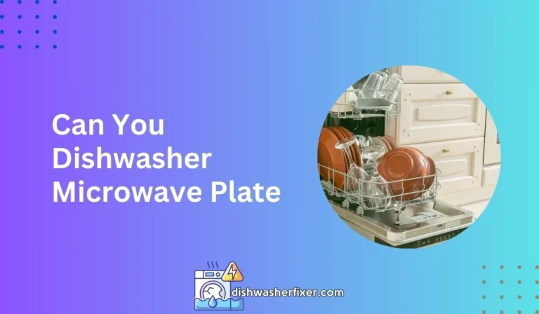 can you dishwasher microwave plate