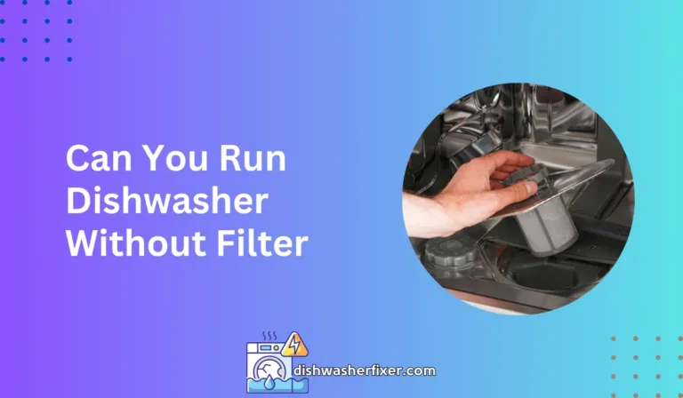 can you run dishwasher without filter