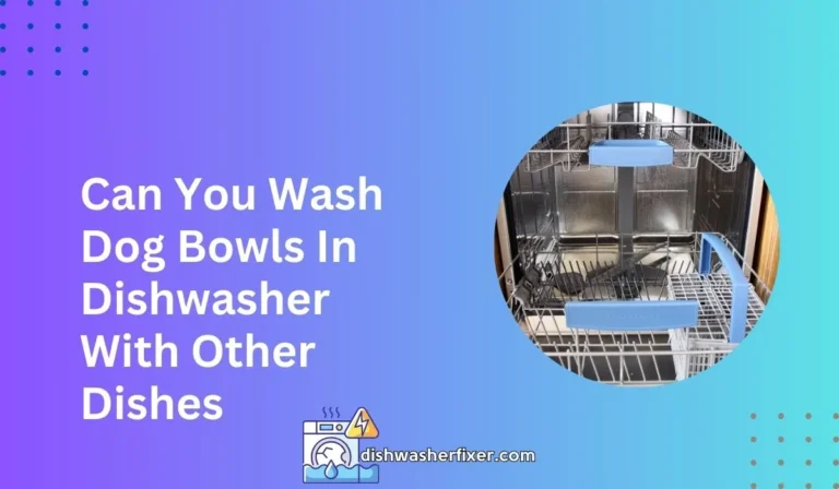 can you wash dog bowls in dishwasher with other dishes