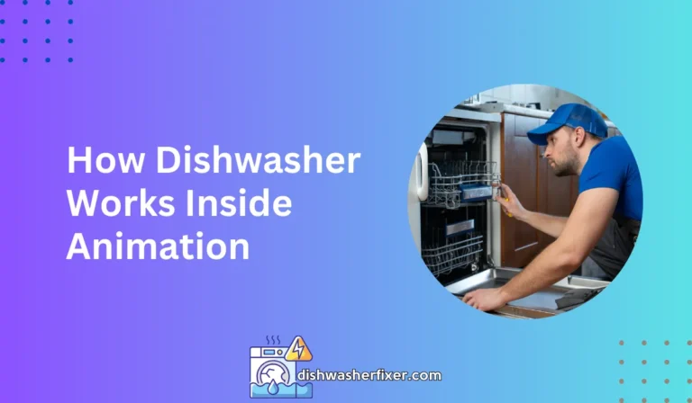 How Dishwasher Works Inside Animation: A Deep Clean Dive