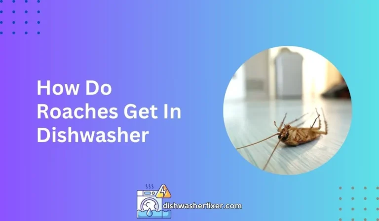 how do roaches get in dishwasher