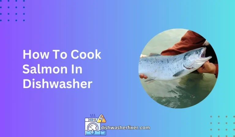 how to cook salmon in dishwasher