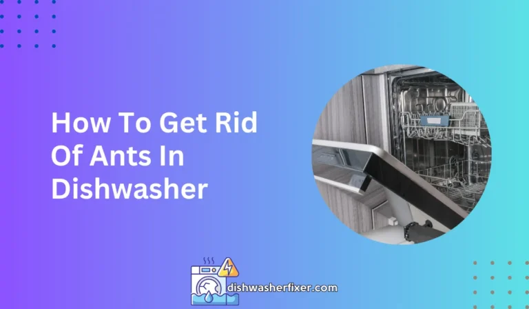 how to get rid of ants in dishwasher