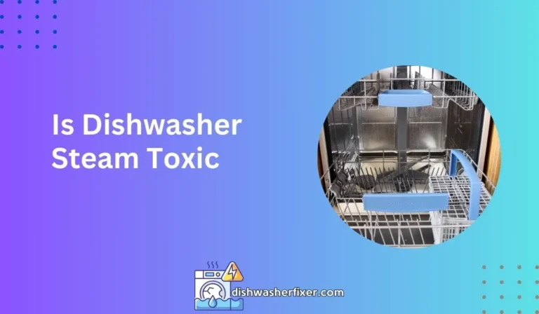 is dishwasher steam toxic