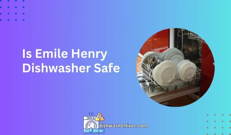 is emile henry dishwasher safe