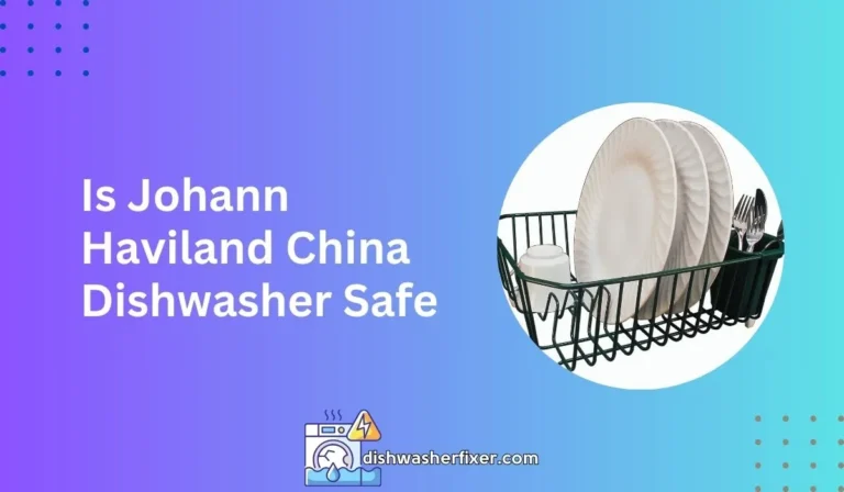is johann haviland china dishwasher safe