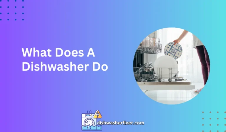 what does a dishwasher do