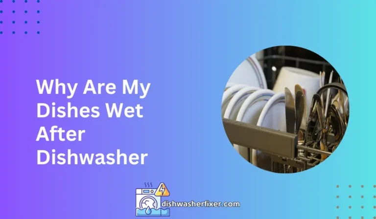 why are my dishes wet after dishwasher