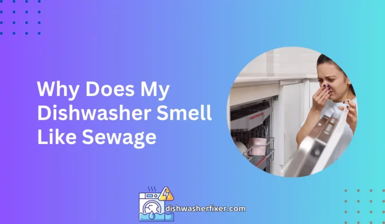 why does my dishwasher smell like sewage