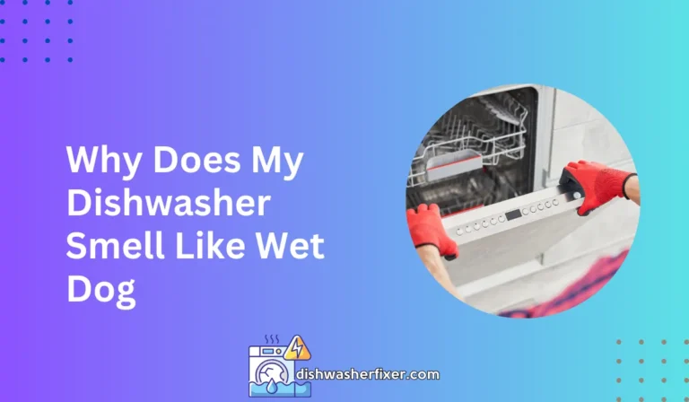 why does my dishwasher smell like wet dog