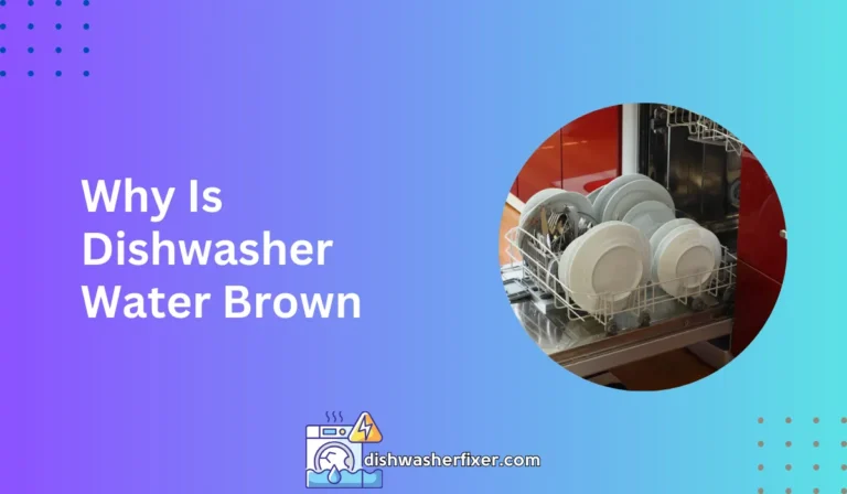 why is dishwasher water brown