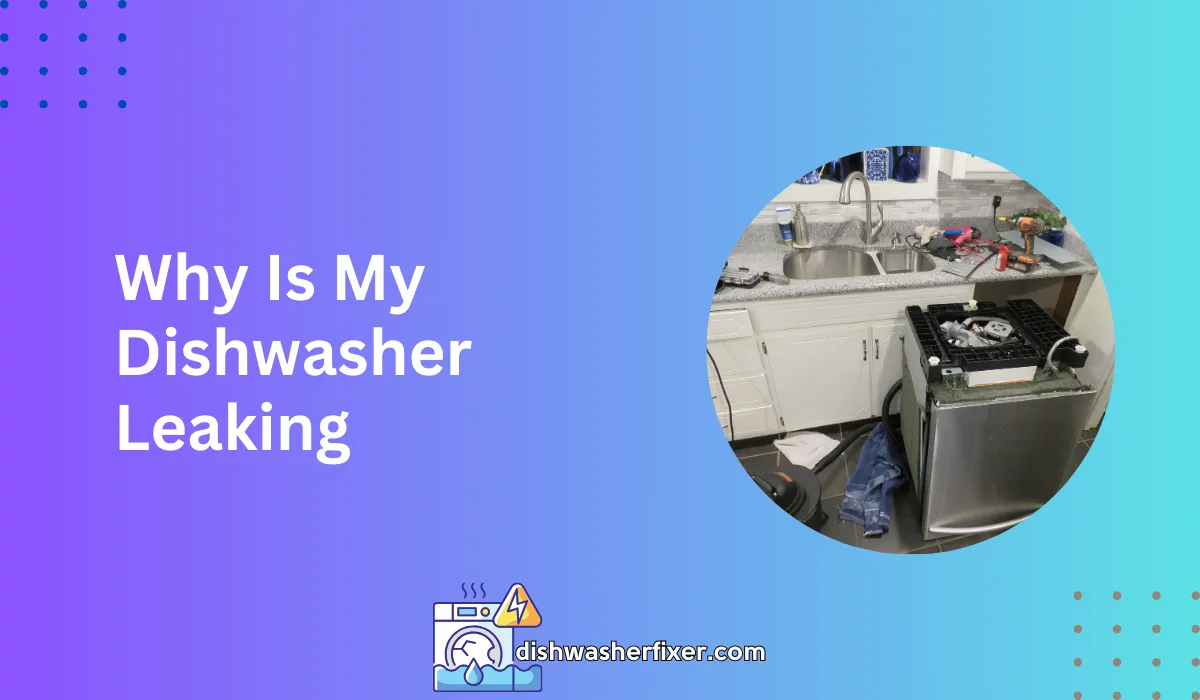 Why is My Dishwasher Leaking? 5 Common Causes & Fixes