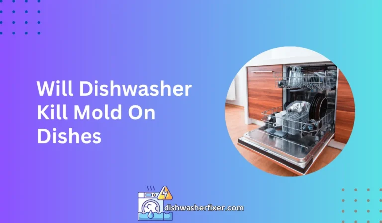 will dishwasher kill mold on dishes